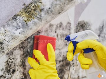 Cum sa scapi de mucegaiul din casa ta si cum sa previi aparitia acestuia