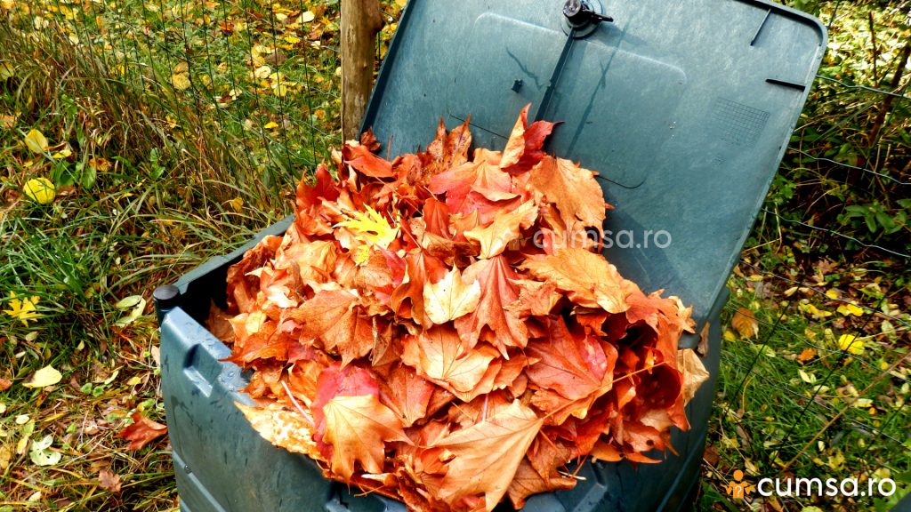 Cum sa faci compost din frunze