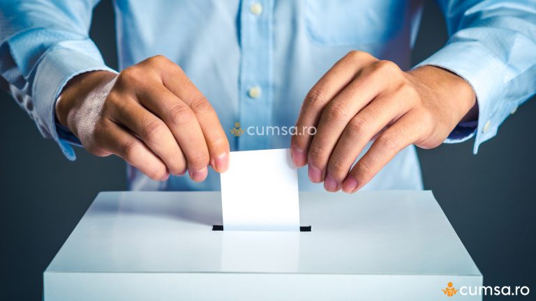 Cum sa votezi corect la Alegerile Locale 2020. Unde trebuie sa pui stampila pentru ca votul sa fie valid