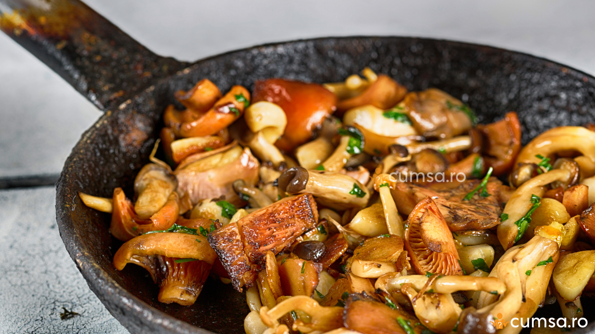 ciuperci wok)