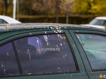 Cum sa cureti gainatul de pasare de pe masina ta
