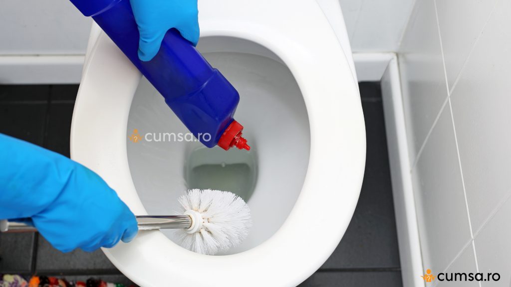 Desfundare WC Detergent de vase