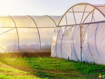 Cum sa alegi folia pentru solar afacere legume