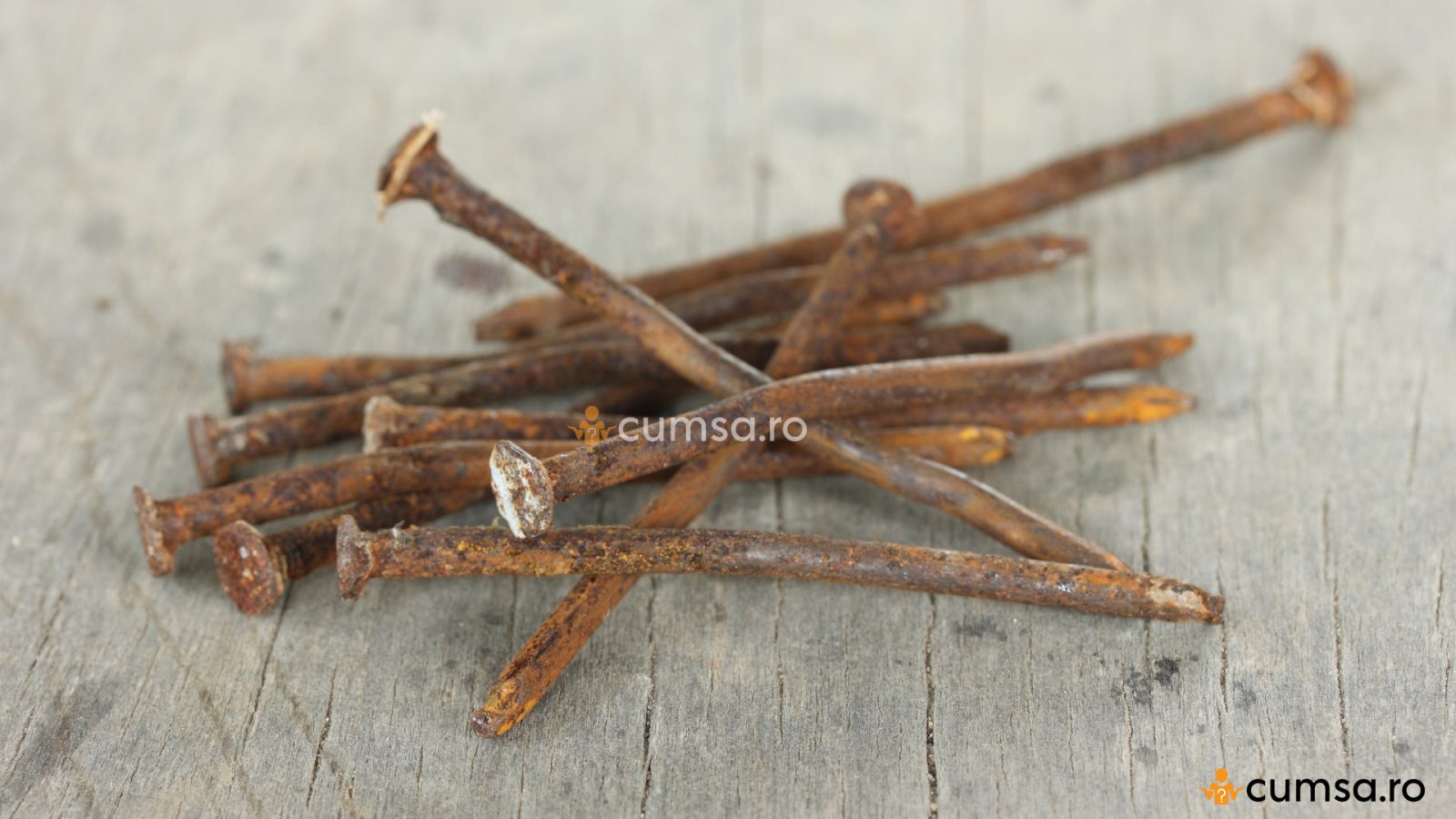 Cuie ruginite batute in pomi fructiferi. Cum sa ii ajuti sa rodeasca ...