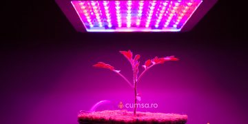 Cum sa alegi o lampa pentru cresterea plantelor