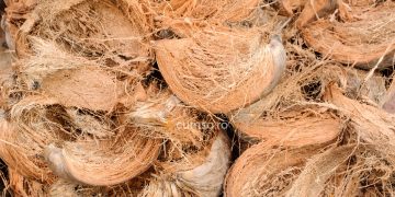 Cum sa folosesti fibra de nuca de cocos pentru plante