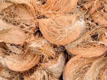 Cum sa folosesti fibra de nuca de cocos pentru plante