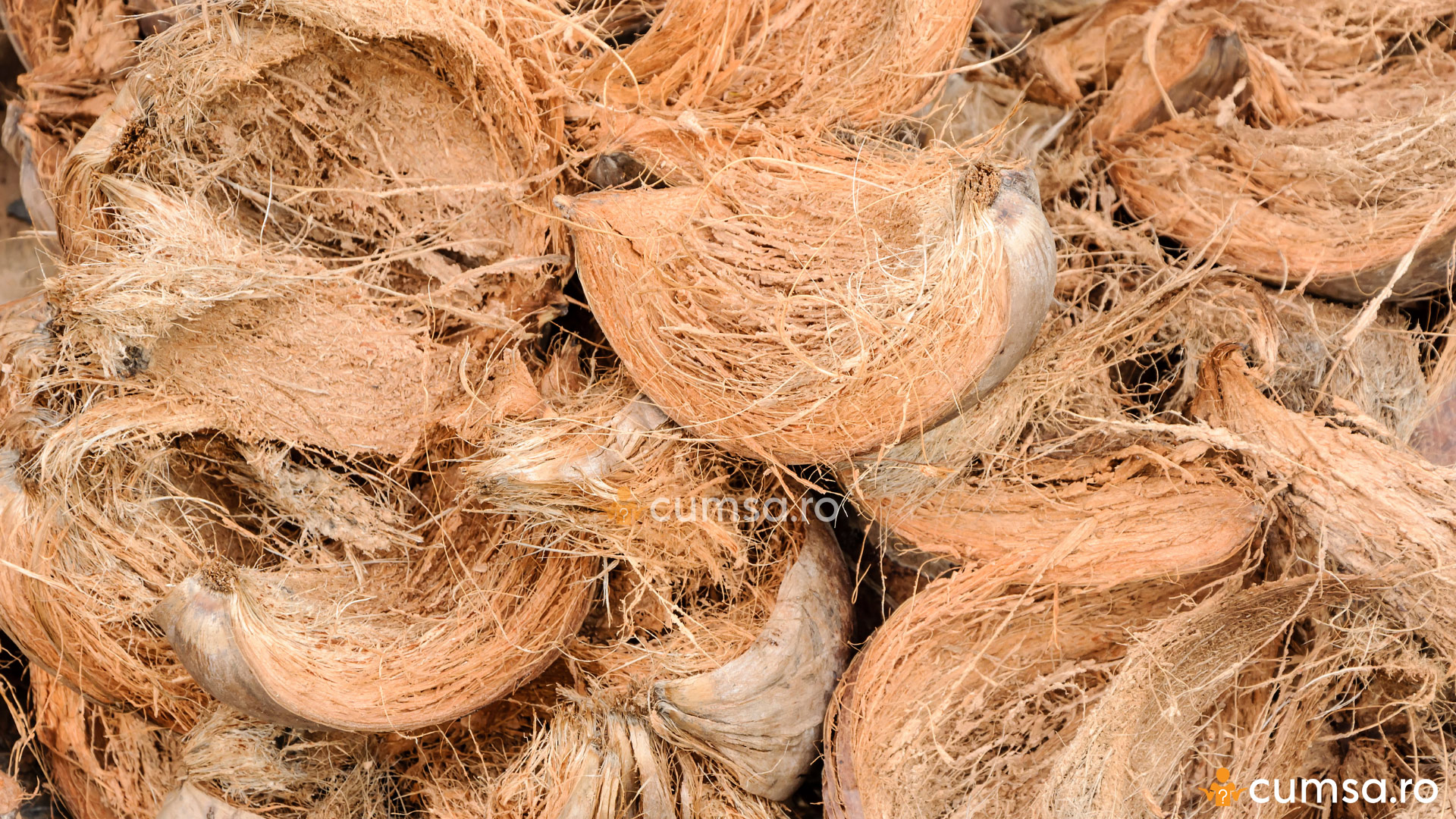 meciul de fabricare a fibrei de nucă de cocos
