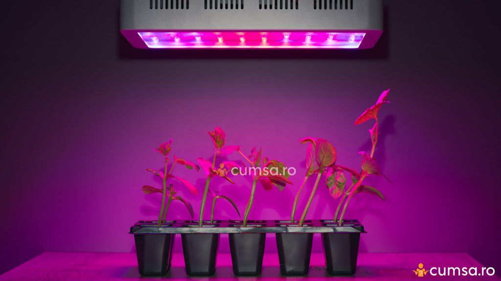 Lampa LED cresterea plantelor
