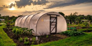 Cum sa construiesti un solar pentru legume in mod corect. Greseli pe care sa le eviti