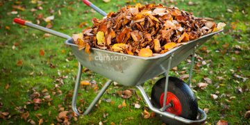 Cum sa faci compost din frunze uscate