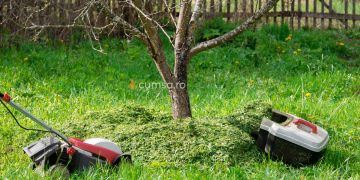 Cum sa folosesti iarba taiata ca ingrasamant natural pentru pomi fructiferi