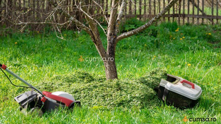Cum sa folosesti iarba taiata ca ingrasamant natural pentru pomi fructiferi