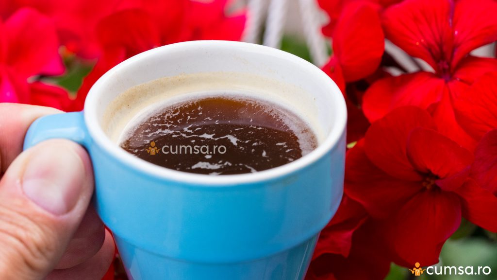 Cum sa uzi florile folosind cafea