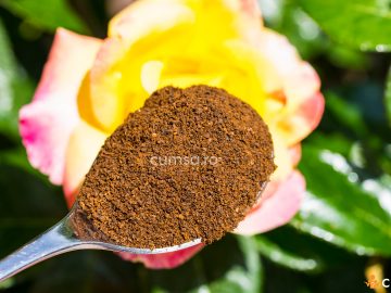 Cum sa folosesti zatul de cafea la flori