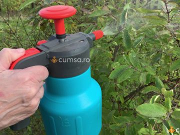Cum sa prepari un insecticid bio cu ulei de neem pentru a iti proteja gradina