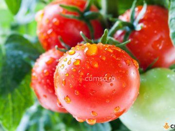 Cum sa schimbi gustul tomatelor din gradina si ce trebuie sa faci