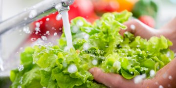Cum sa cureti si cum sa pastrezi salata in mod corect