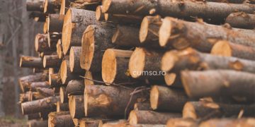 Cum sa depozitezi lemnul pentru foc. Greseli de evitat