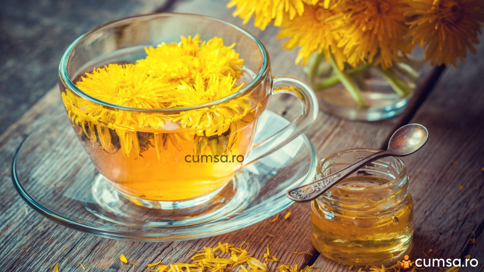 cum-sa-folosesti-papadia-beneficii-proprietati-utilizare-si