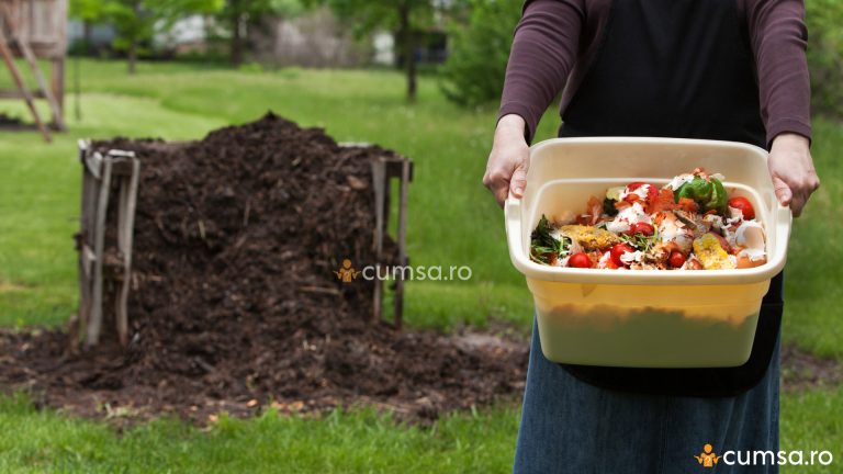 Cum sa faci compost organic si la ce sa il folosesti