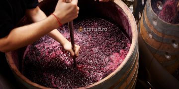 Cum sa faci pritocitul vinului si in ce perioada