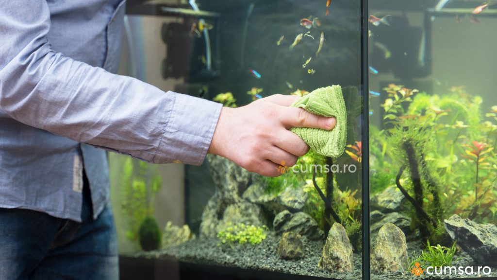Curatarea acvariului