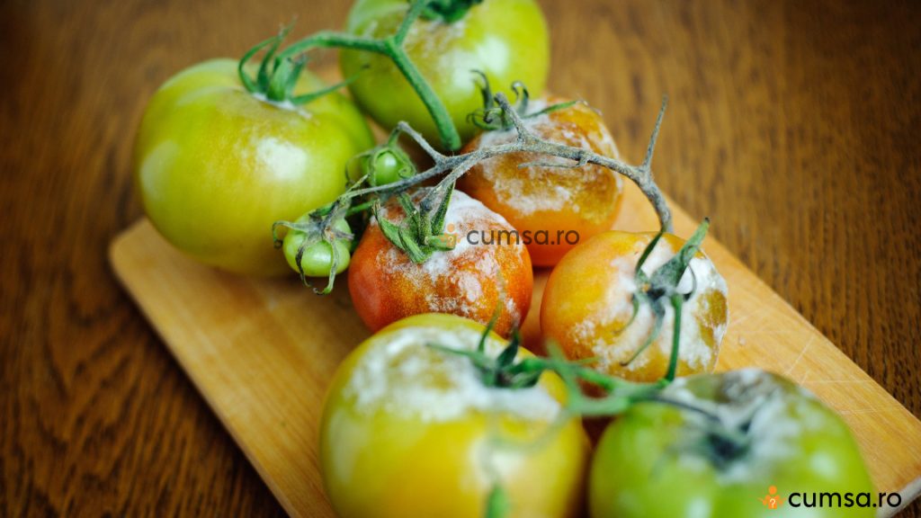 Putregaiul cenusiu la tomate