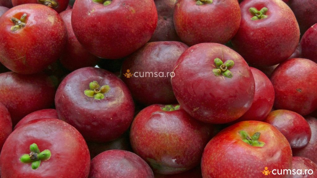 Fructe de kokum
