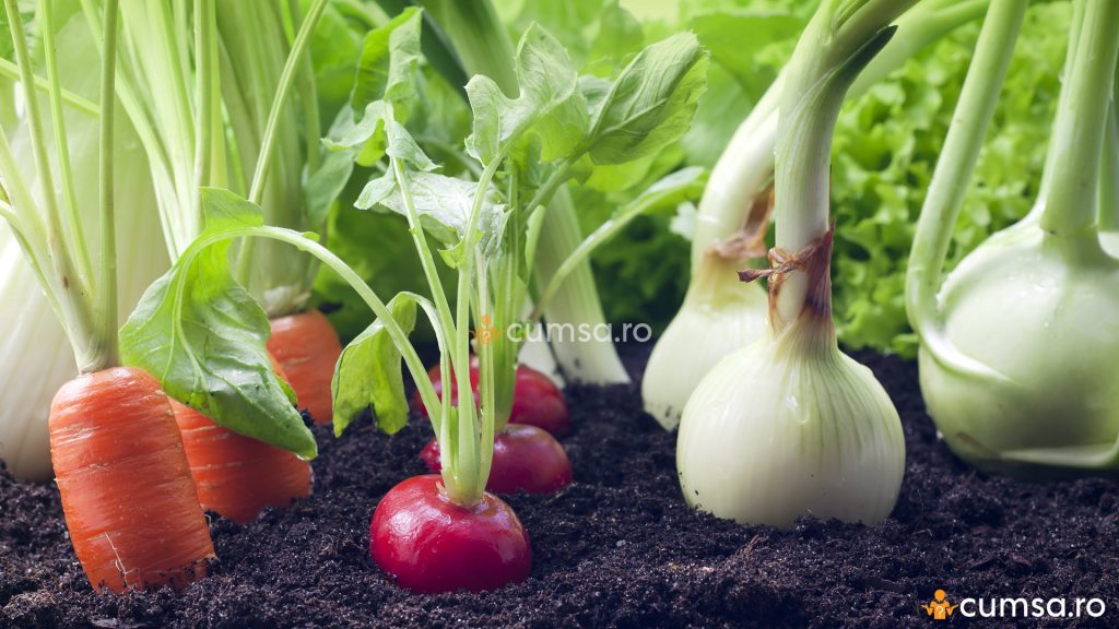 Cum sa faci asocierea legumelor in gradina