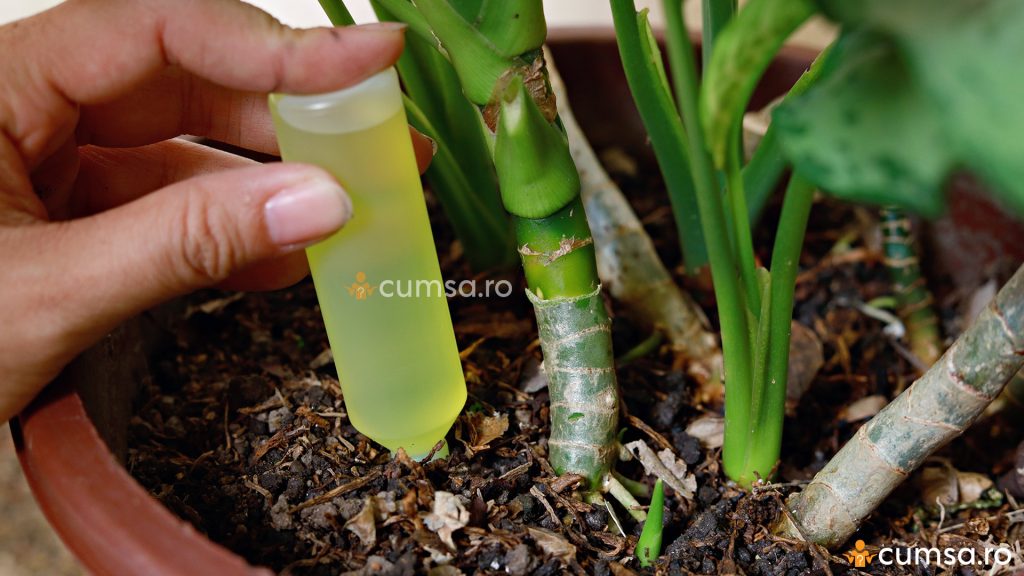 Fertilizator lichid