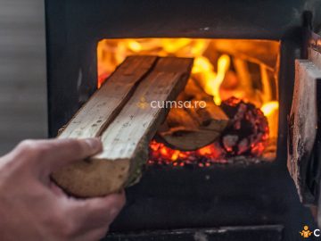 Lemne de foc. Cum sa le alegi in functie de puterea calorica