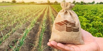 Cum sa faci o afacere in agricultura. 6 idei cu buget redus