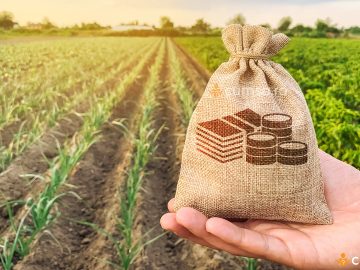 Cum sa faci o afacere in agricultura. 6 idei cu buget redus