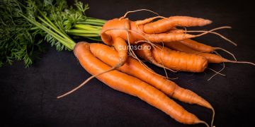 Cum sa previi deformarea morcovilor si care sunt cauzele