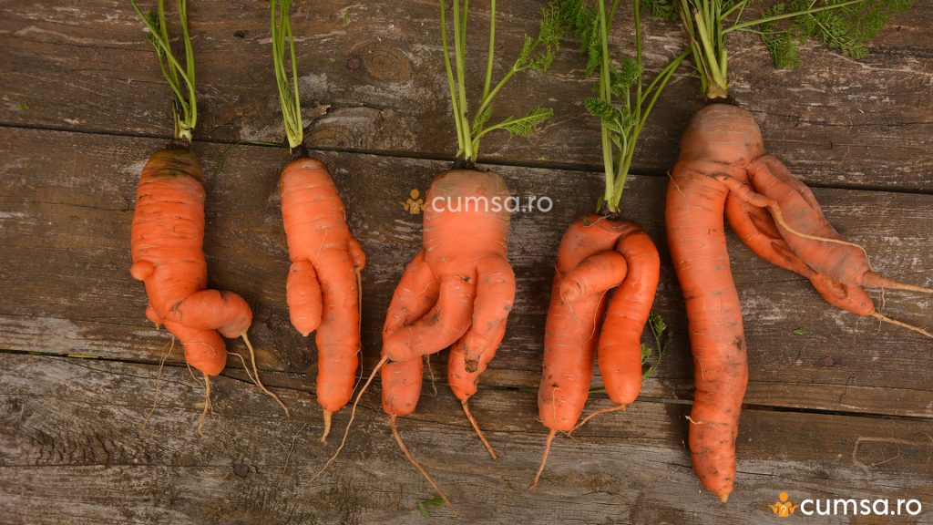 Deformarea morcovilor