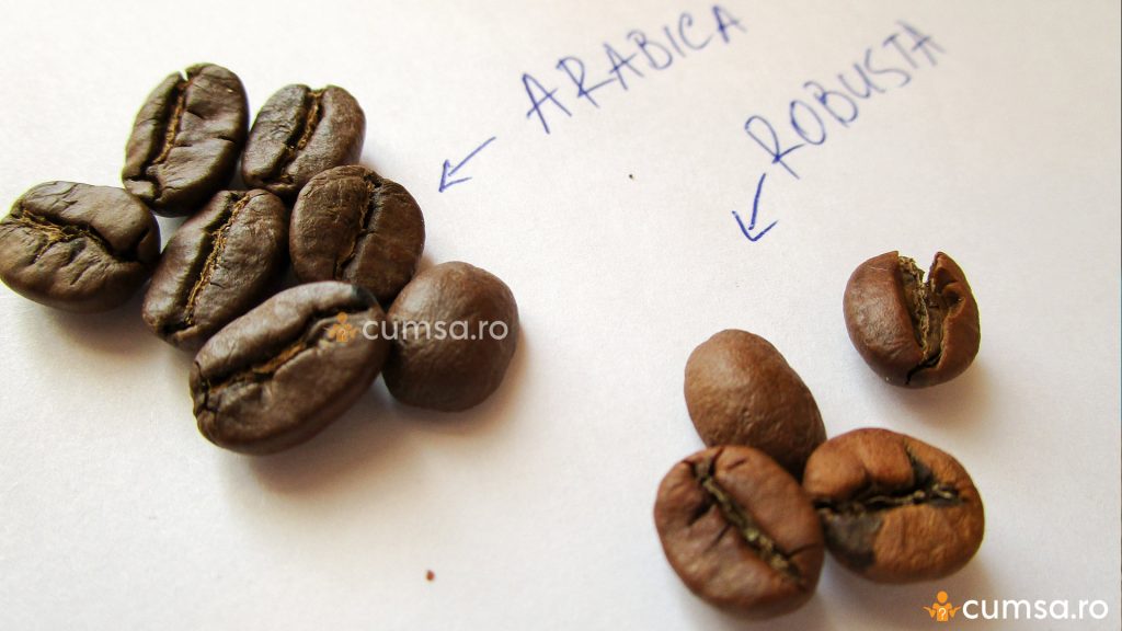 Boabe de cafea arabica si robusta