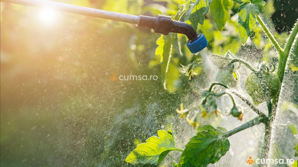 Ingrasamant foliar tomate