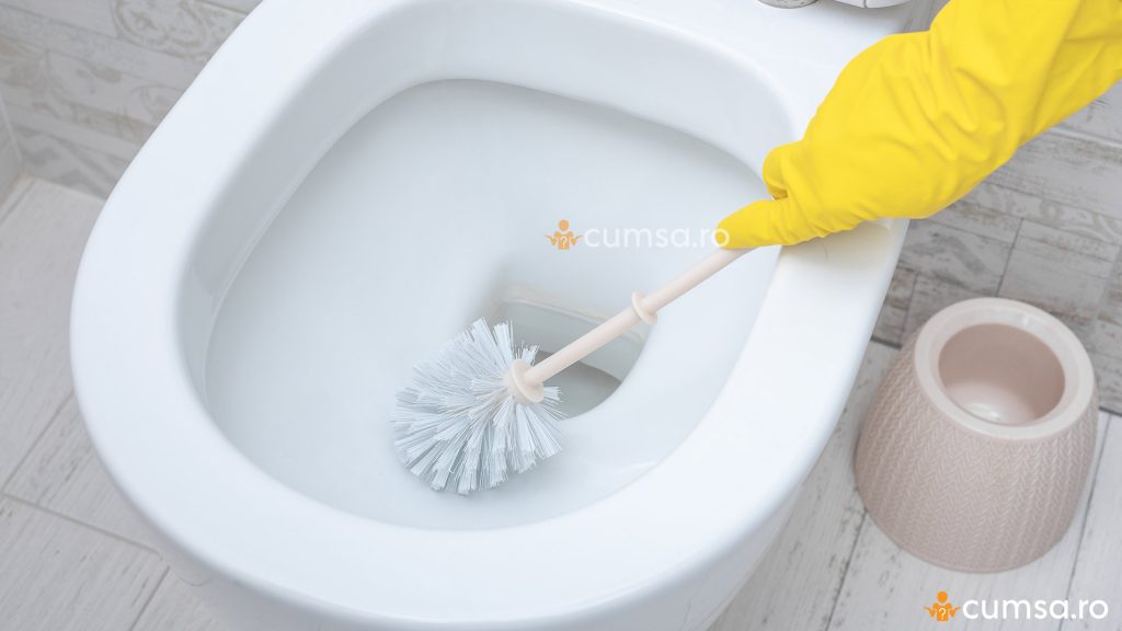 Cu ce se curata calcarul din WC