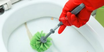 Cu ce se curata calcarul din WC. Cum sa indepartezi depunerile