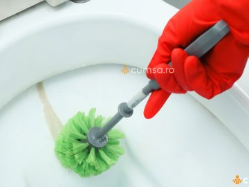 Cu ce se curata calcarul din WC. Cum sa indepartezi depunerile