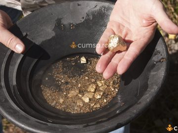 Unde se gasesc pepite de aur in Romania. Cum sa le descoperi si care sunt pasii