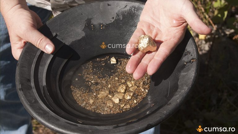 Unde se gasesc pepite de aur in Romania. Cum sa le descoperi si care sunt pasii