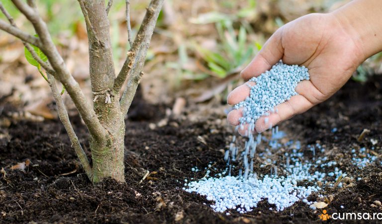 Cum sa faci fertilizarea pomilor fructiferi si in ce perioade