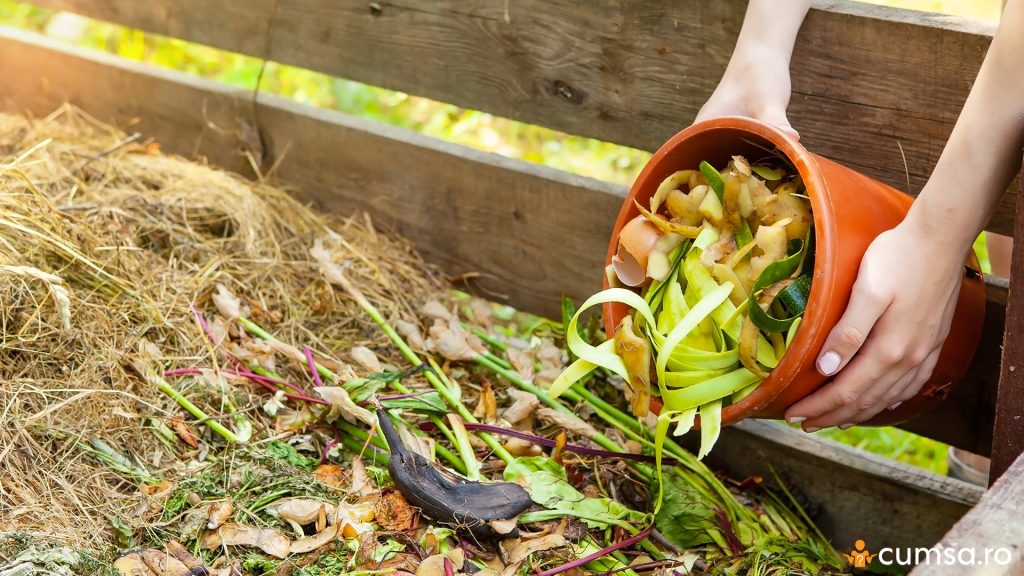 Ce sa nu pui niciodata in lada de compost