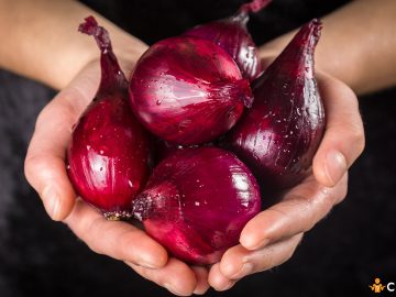 Miros de ceapa pe maini. Cum sa il elimini si care sunt solutiile