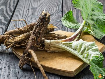 Cand se recolteaza radacina de brusture. Cum sa o folosesti si ce beneficii ofera