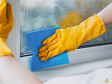 Cu ce se curata varul de pe termopan si cum sa procedezi