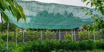 Cum sa folosesti plasele de umbrire pentru a proteja plantele din gradina de arsurile solare