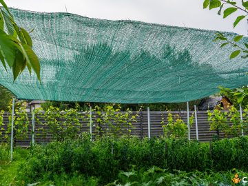 Cum sa folosesti plasele de umbrire pentru a proteja plantele din gradina de arsurile solare